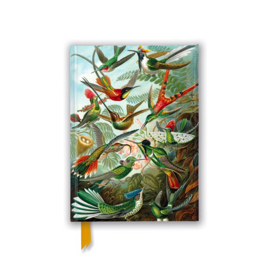 Ernst Haeckel: Hummingbirds (Foiled Journal)