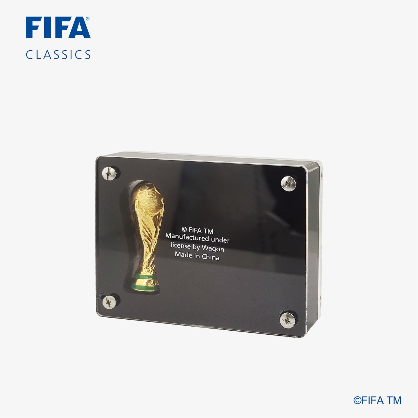 Argentina FIFA World Cup Champions Replica Trophy